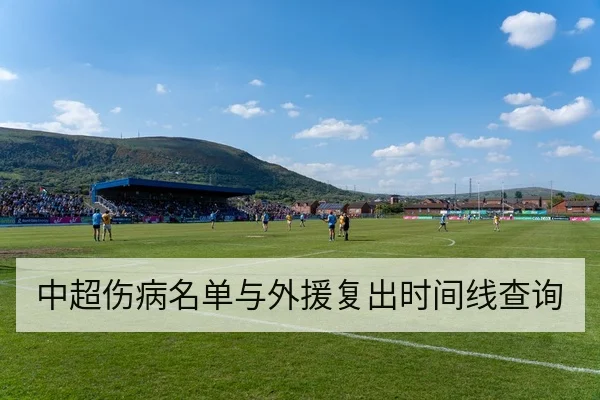中超伤病名单与外援复出时间线查询