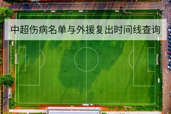 中超伤病名单与外援复出时间线查询